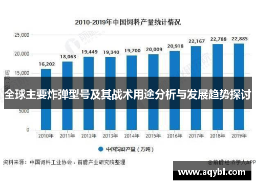 全球主要炸弹型号及其战术用途分析与发展趋势探讨 全球主要炸弹型号及其战术用途分析与发展趋势探讨