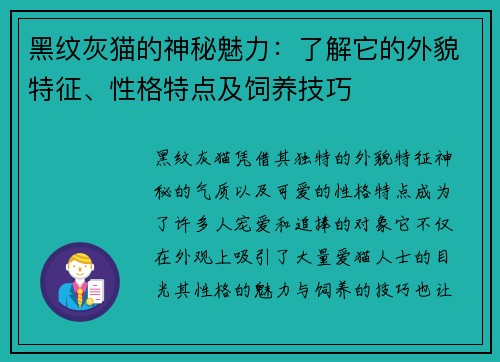 黑纹灰猫的神秘魅力：了解它的外貌特征、性格特点及饲养技巧